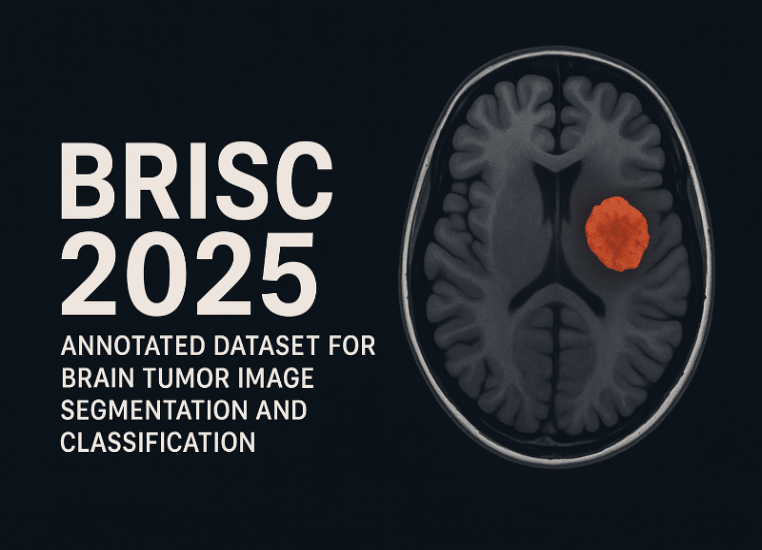 BRISC.gif